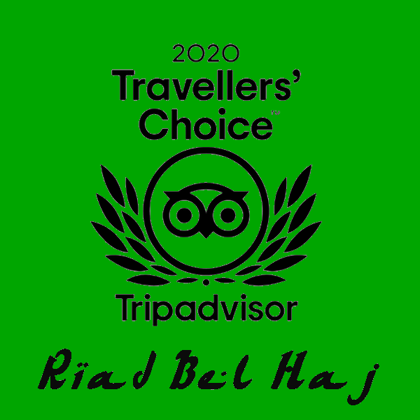 Logo Tripadvisor2020 vert